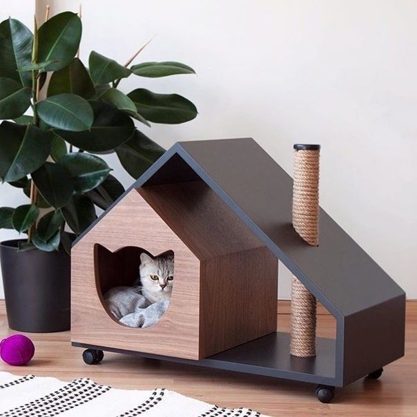 Cats also want to live in style - cat, House, Longpost