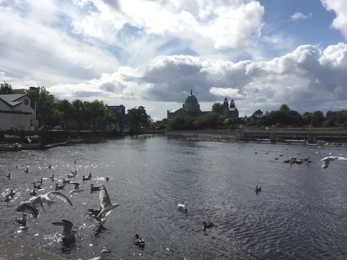 Saturday walk around Galway - My, Pick-up headphones abroad, Ireland, The photo, Walk, Sea, Nature, Longpost