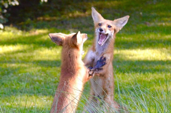 ��� ������!