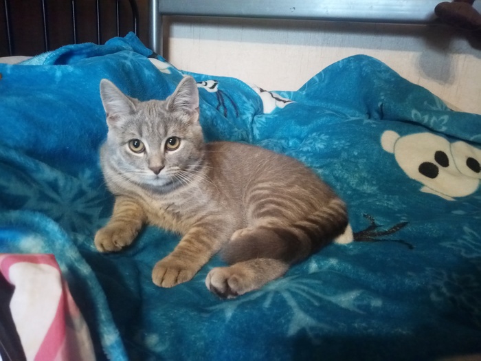 ��� ������