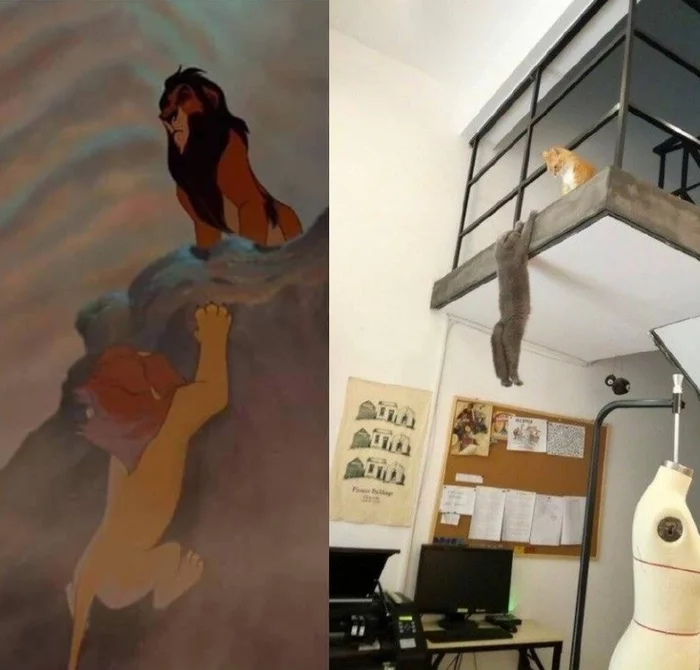 How The Lion King Was Made - cat, Humor, The lion king