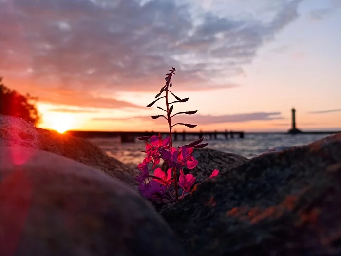 Sunset - My, Sunset, Lake, Ladoga lake, Relaxation, Travels, Lighthouse