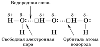 Что общего между водой, ДНК и водкой? - Образование, ЕГЭ, Химия, Вода, Учитель, Учеба, Физика