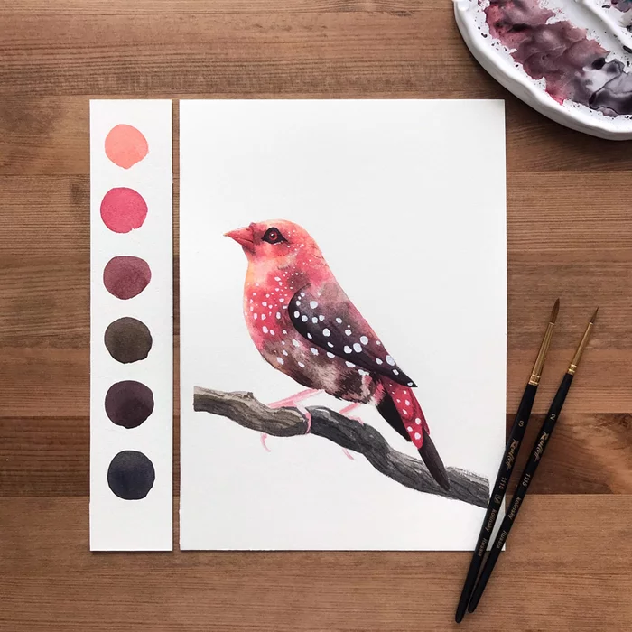 Small birds - My, Birds, Watercolor, Hoopoe, Drawing, Swift, Longpost