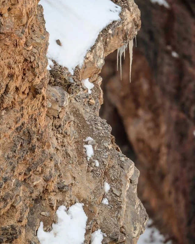 Reply to the post “No wonder the snow leopard is called the “ghost of the Himalayas”!” - Snow Leopard, Himalayas, Camouflage, Color, Disguise, Snow, The rocks, Imperceptibly, Reply to post, Longpost