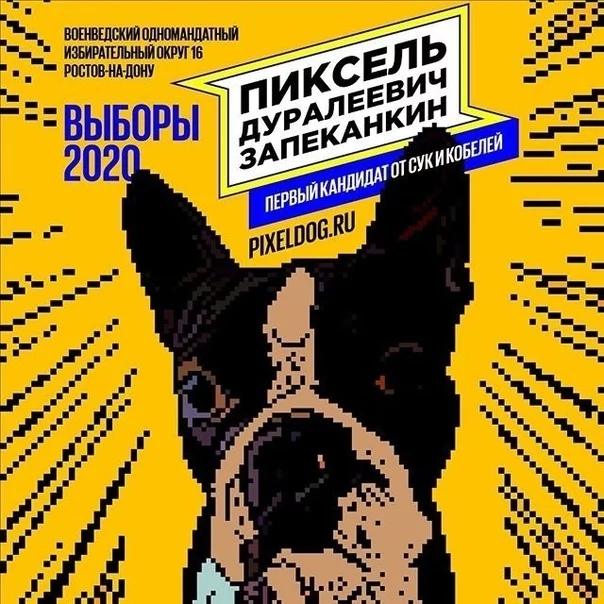 A worthy candidate... - Candidates, Dog, Rostov-on-Don, Humor, Elections, Longpost