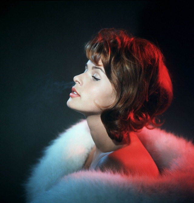 Vintage beauty. Senta Berger. Photo post - Actors and actresses, German cinema, The photo, Retro, beauty, Longpost