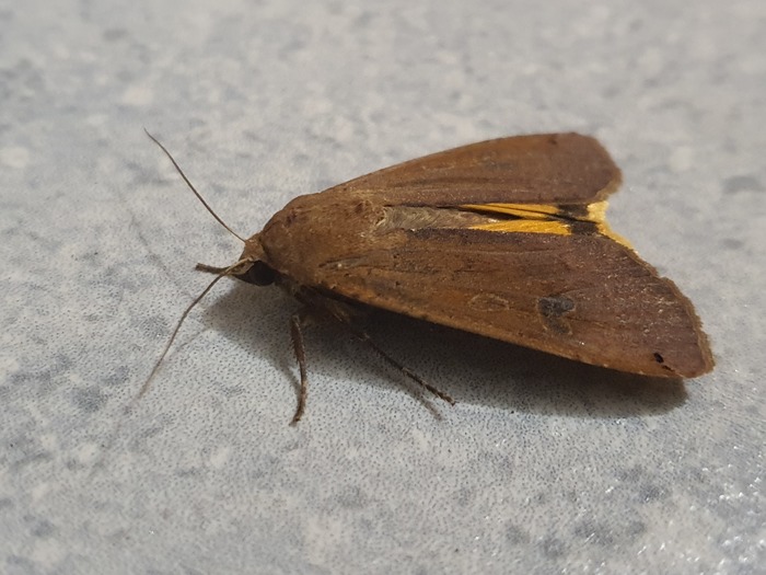 � ����� � ��� �������?