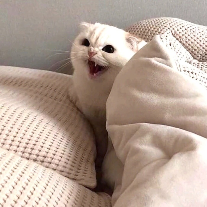 If you want to be somebody, somebody really special, be yourself. / Хочешь быть кем-то, кем-то действительно особенным - будь собой