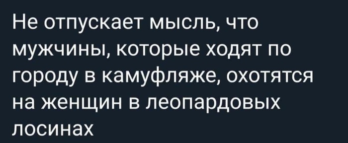 Городская охота - Картинка с текстом, Юмор, Леопардовые, Лосины