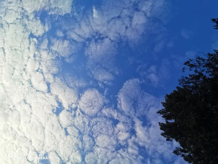 Tangible clouds))) - My, Sky, Amateur photography, Longpost