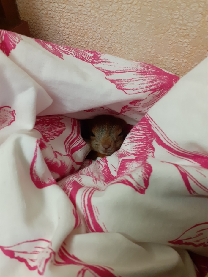 ������ ������� ��� "� �������� �����"