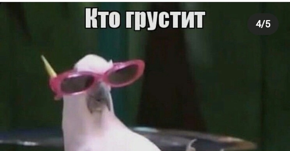 Картинка кто грустит тот трансвисвистит