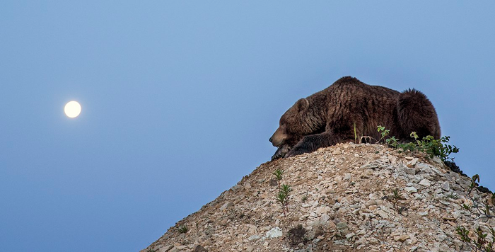      : &quot; ,   !&quot;