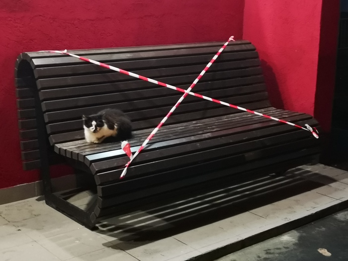 ����� ������, �� �����, ������ ��� � ���� �����