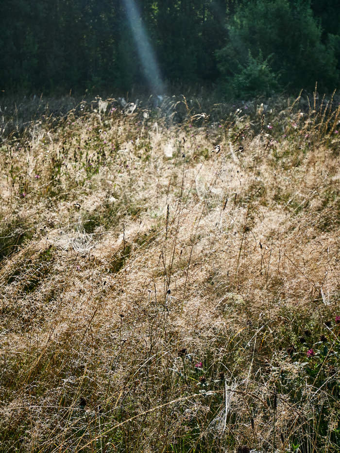 Озеро Астраханка / ТОП красивых мест Чувашии / Завтрак Туриста Чувашия, Чебоксары, Марий Эл, Озеро, Астрахань, Завтрак, Путешествия, Видео, Длиннопост