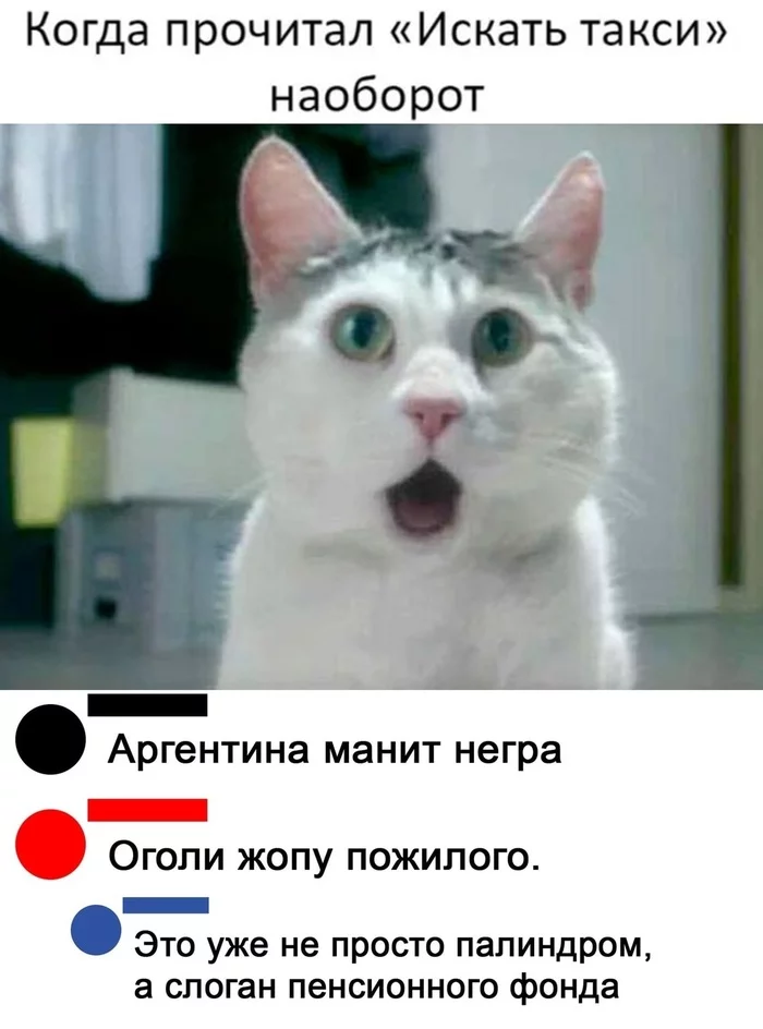 Palindrome - Russian language, Palindrome, Humor, Picture with text, cat, FIU, Tagline