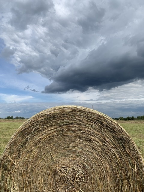 Haymaking - My, Haymaking, Summer, Longpost