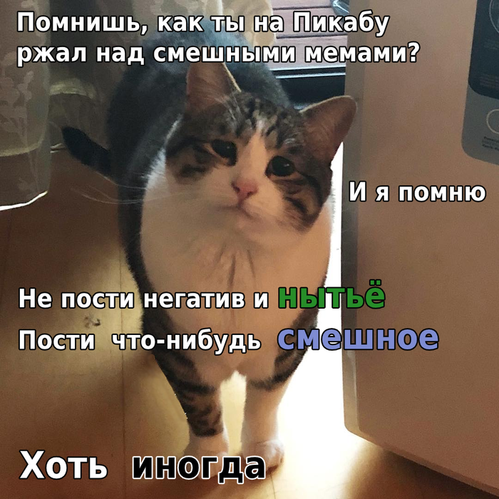   ,  ,   , , ,   ,   
