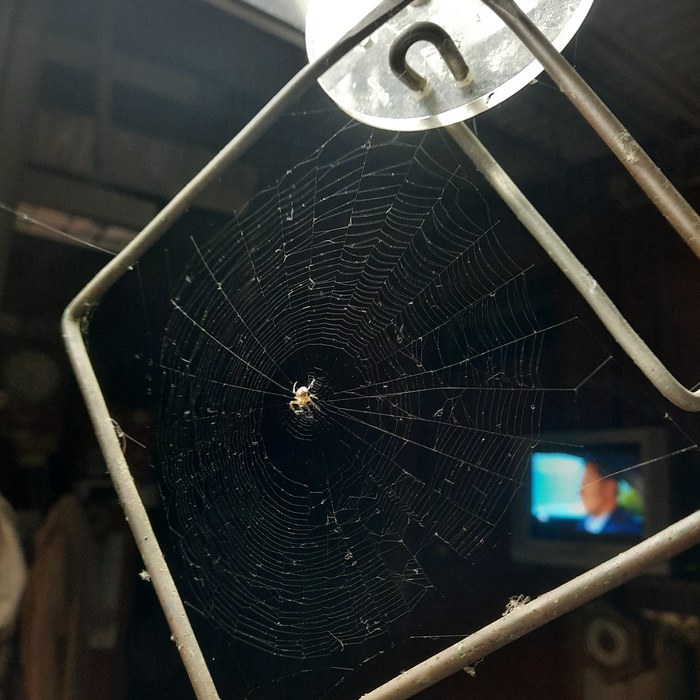  (LifeHack),   20-    50- 