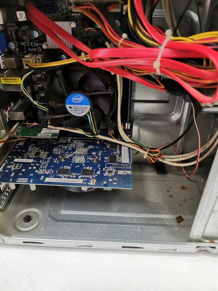 Сколько ремонт ноутбука Packard Bell Колпинский район