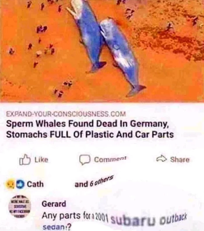 Greta asks for a gun - Sperm whale, Germany, Ecology, Plastic, Comments, Screenshot, Spare parts, Black humor