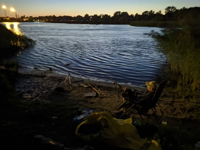 Catfish on donka - My, Catfish, Fishing, Nature, Donka, Video, Longpost