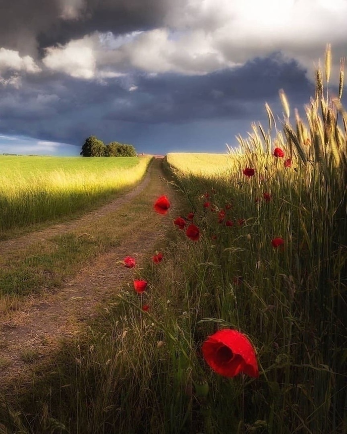 �������� ������� ���� �������!