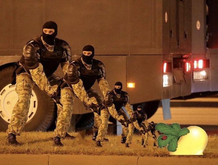 �����-�������