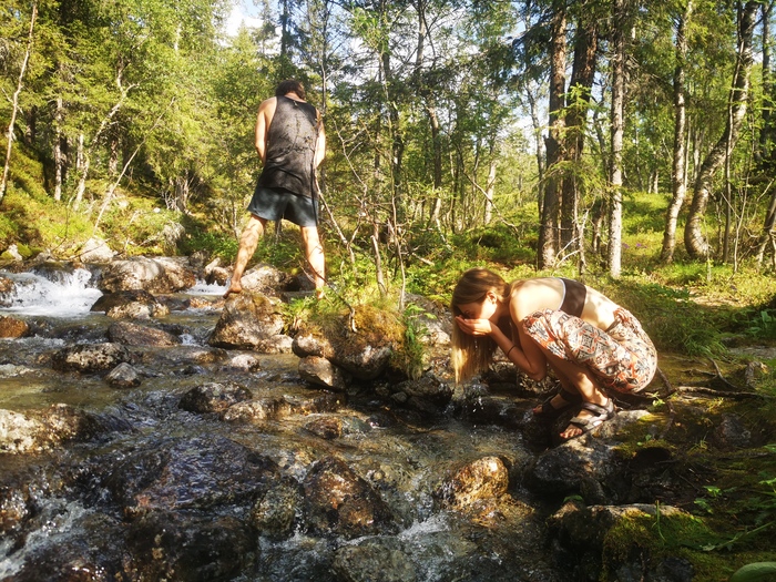 ��� � ����