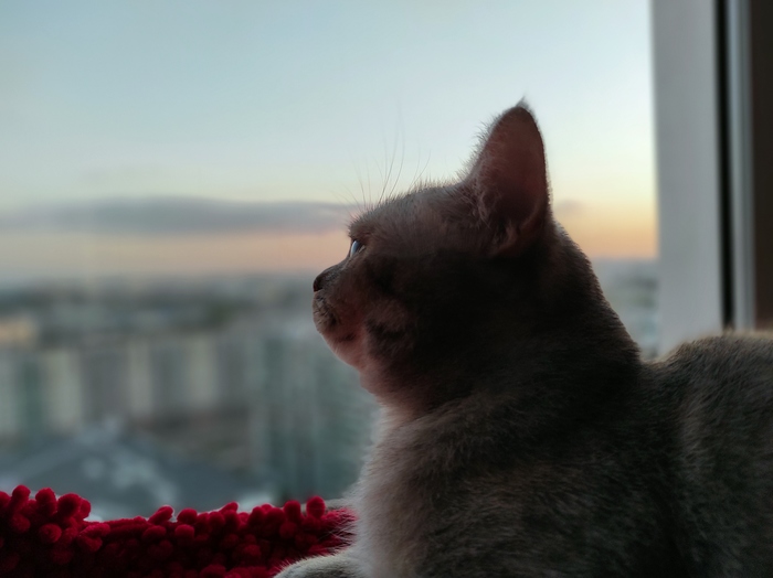 Поэтичное настроение
