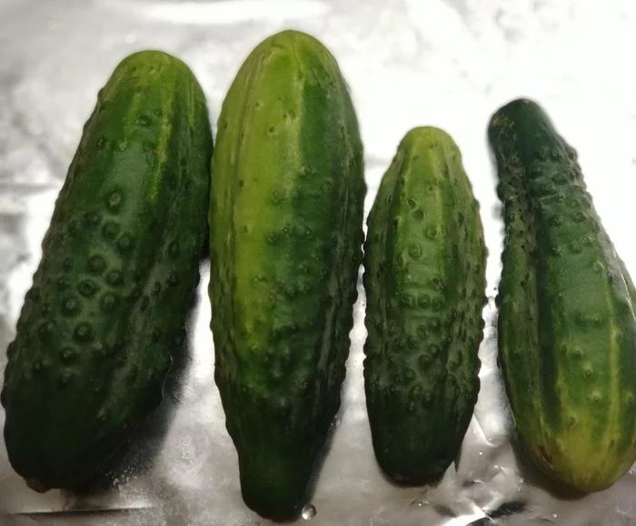 Cucumber tip - My, Tips, Courier, Cucumbers, Gratitude