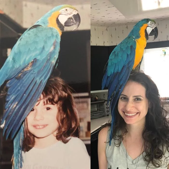 Through time - A parrot, Time, Birds, It Was-It Was