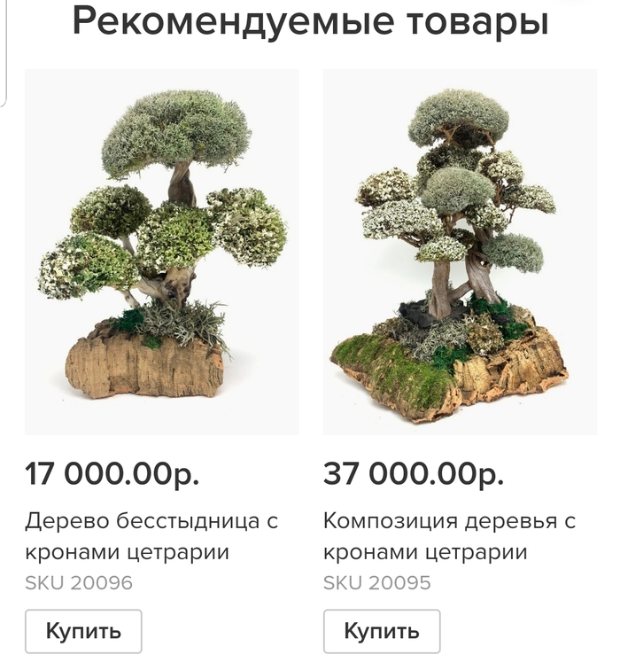 1597321186145330806 без лоха и жизнь плоха что значит