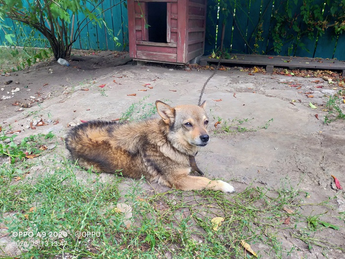 ������� ���� �� 1 �� 10