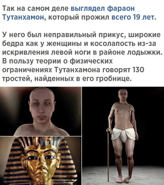 Tutankhamun - Tutankhamen, Ugliness, Longpost, Reconstruction of appearance, Pharaoh, Story