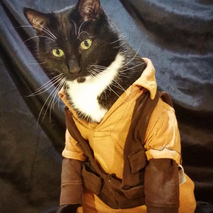 I am a leaf on the wind - The series Firefly, Cosplay, cat, Longpost, Malcolm Reynolds, Wash