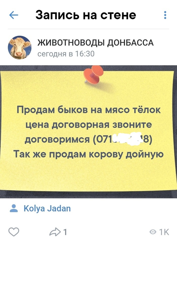 Казнить нельзя помиловать...