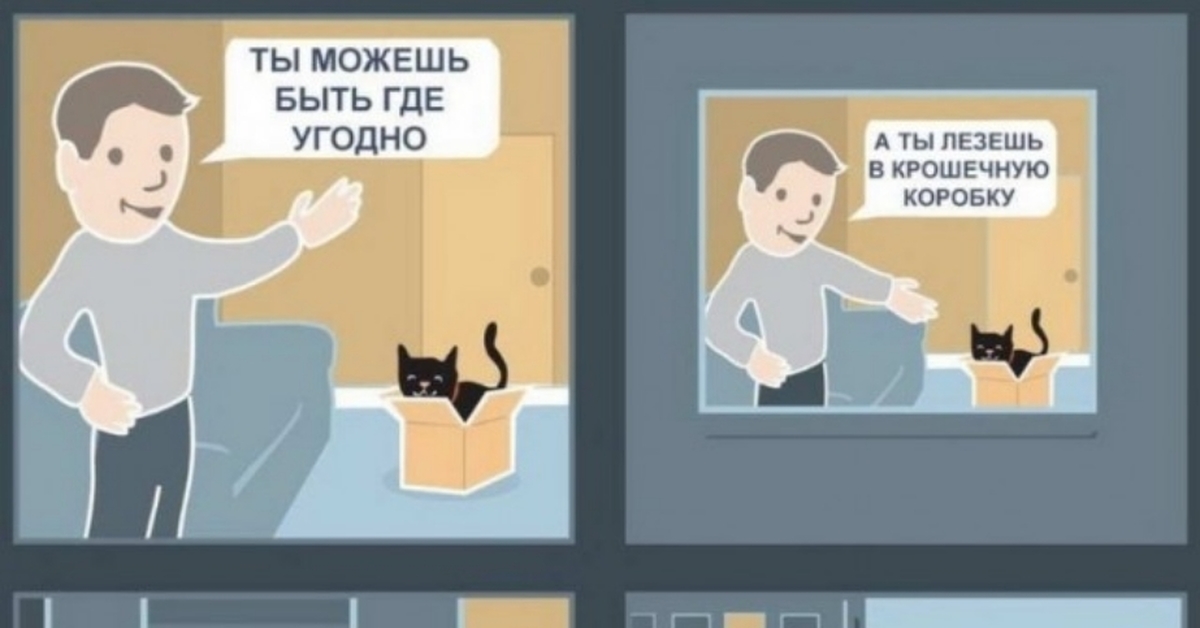 Можно делать где угодно. Где угодно картинка. Мемы про котов и коробки. Кот и коробка комикс. Коробка и кот и человек Мем.