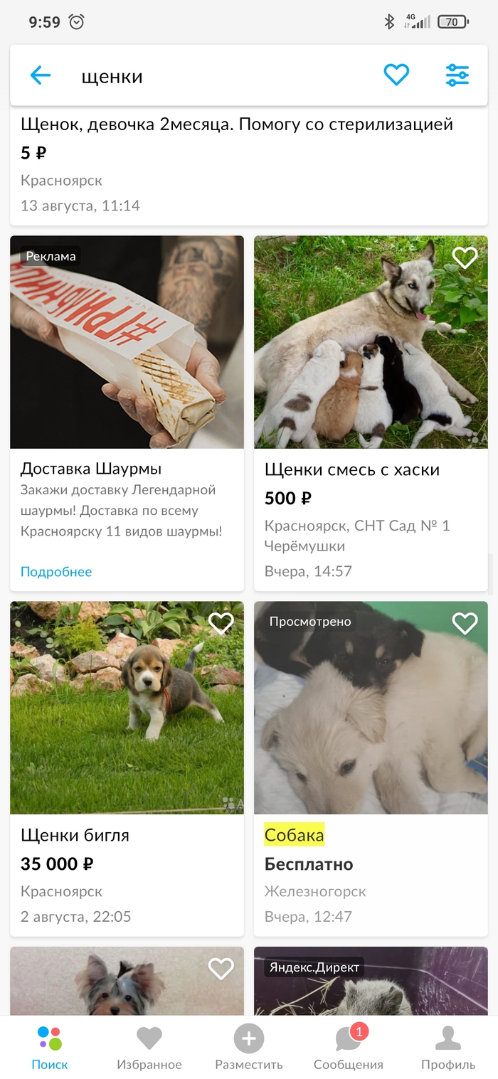 Лучшее место для рекламы шаурмы