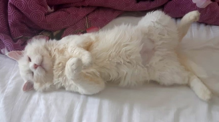 ����������� ����� ��������� : ������� ����. �������� ��� �������� �� �����