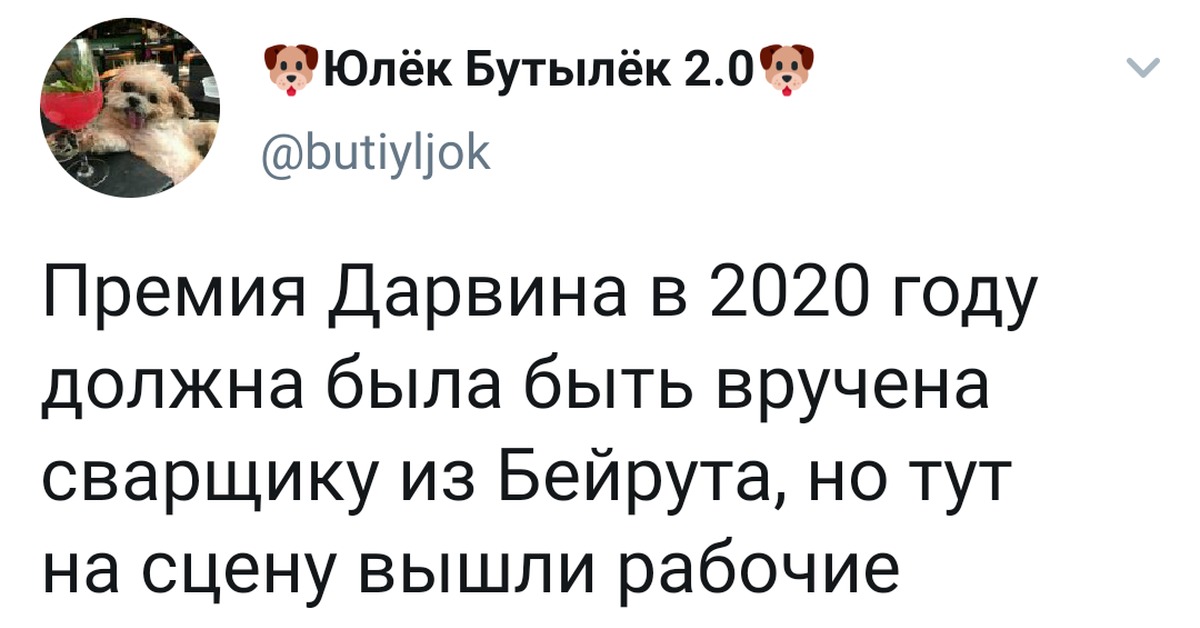 Примеры за что можно получить премию дарвина