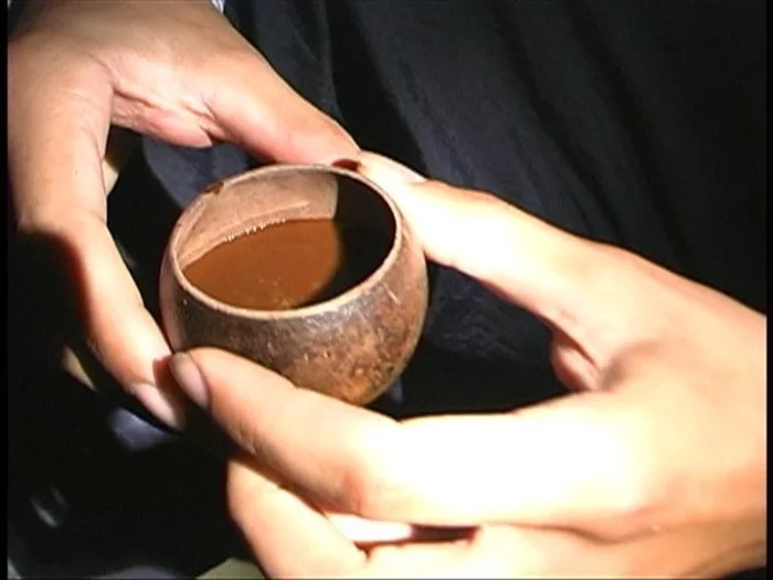 What is Ayahuasca? - Alcohol, Travels, Shamans, Grass, Bar, Beverages, Longpost, Text