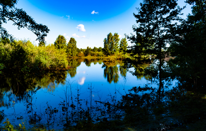 Безмятежность