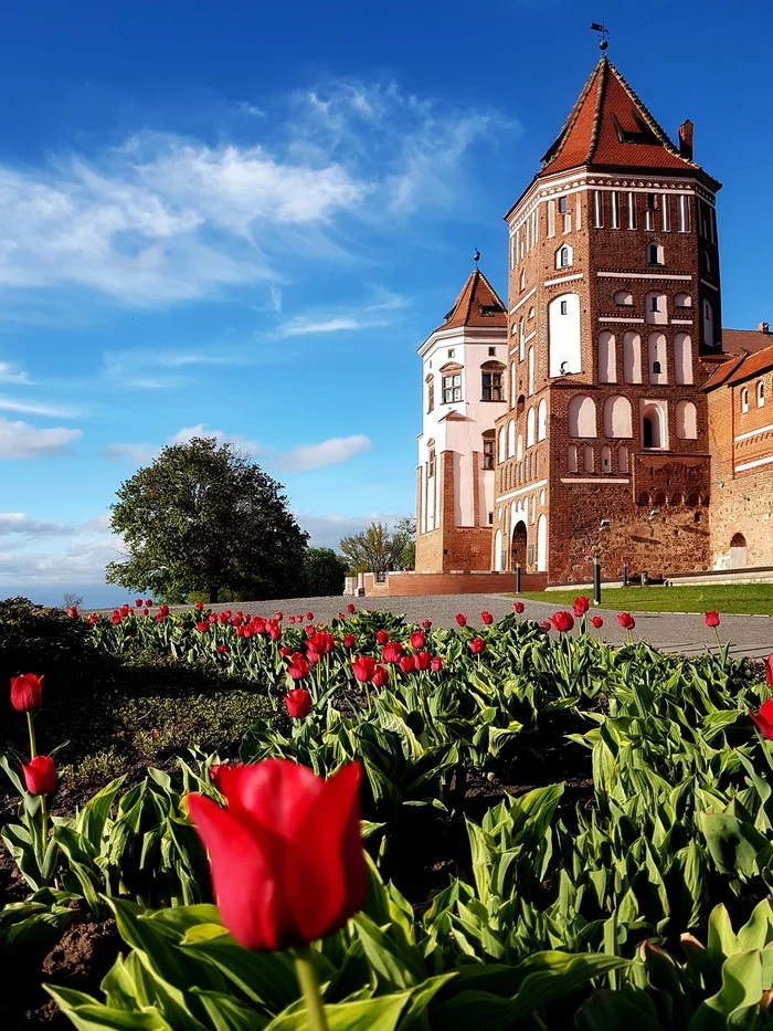 World - My, Republic of Belarus, Mir Castle, Locks, The photo, Travels, Peace, Summer
