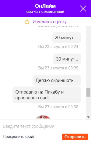 Сила Пикабу! Ждал полчаса... - Моё, Онлайм, Ростелеком, Длиннопост