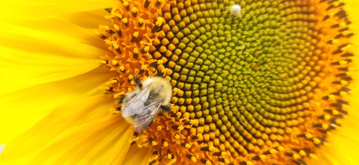 Главное поймать момент