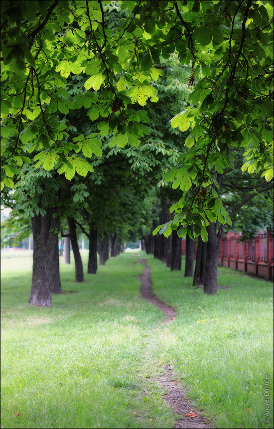 Photowalk: Minsk, Belarus #8 - My, Photobritish, Republic of Belarus, Minsk, Travels, sights, Architecture, Town, Longpost