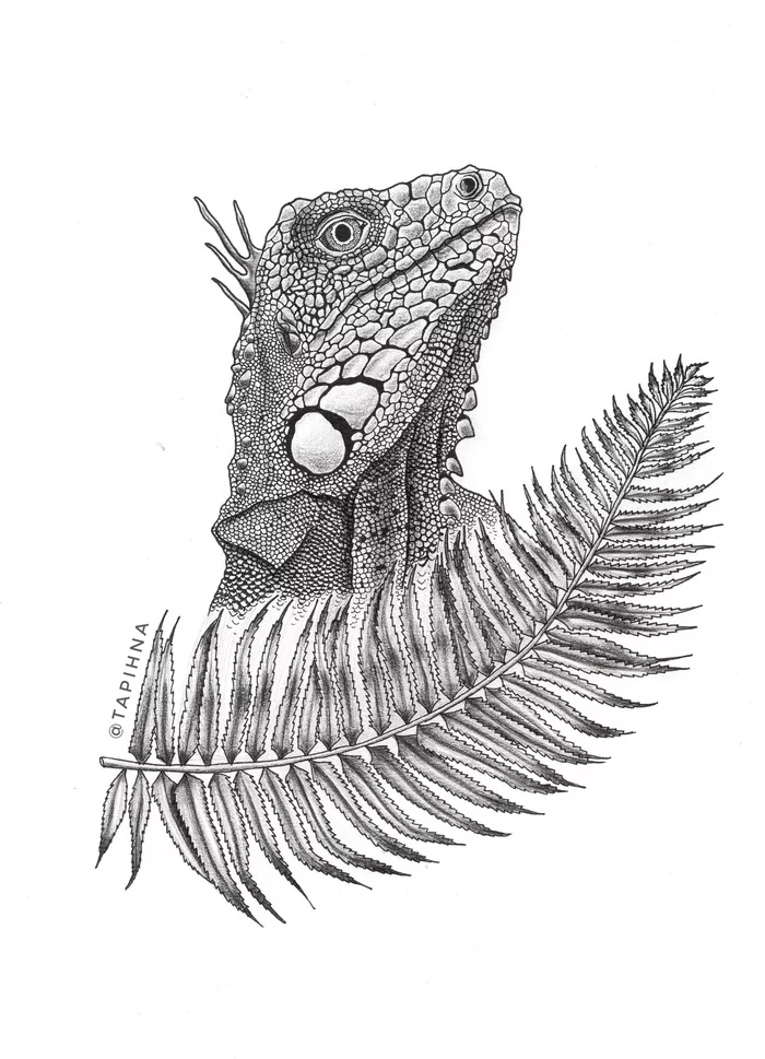 Drawing of an iguana in ink and pencil: stages of creation - My, Artist, Iguana, Pencil drawing, Painting, Art, Fern, Drawing, Graphics, Longpost