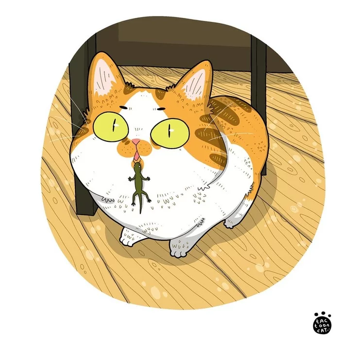 Котозарисовки - Арт, Рисунок, Кот, Tactooncat, Видео, Длиннопост
